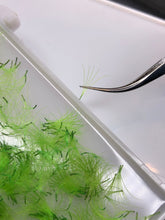 Load image into Gallery viewer, 5D .07 Pro-Made Colored Loose Volume Fans - Bulk Tray